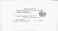 Image Associated With the Occurence
